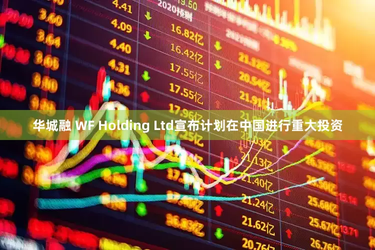 华城融 WF Holding Ltd宣布计划在中国进行重大投资