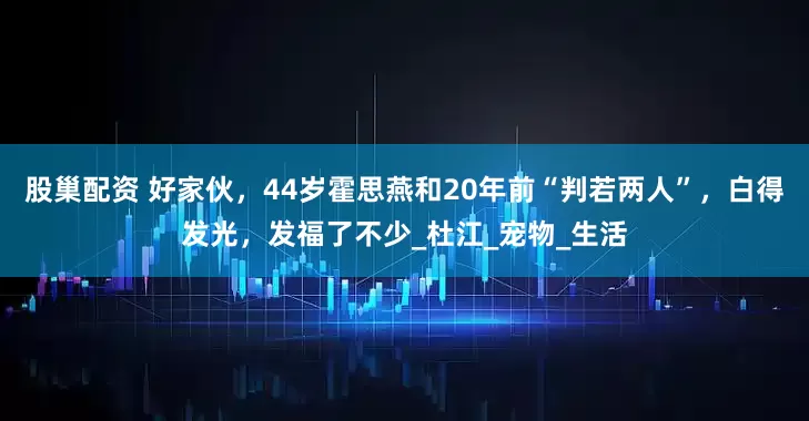 股巢配资 好家伙，44岁霍思燕和20年前“判若两人”，白得发光，发福了不少_杜江_宠物_生活