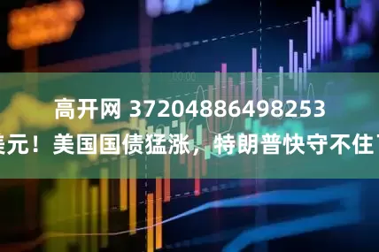高开网 37204886498253美元！美国国债猛涨，特朗普快守不住了